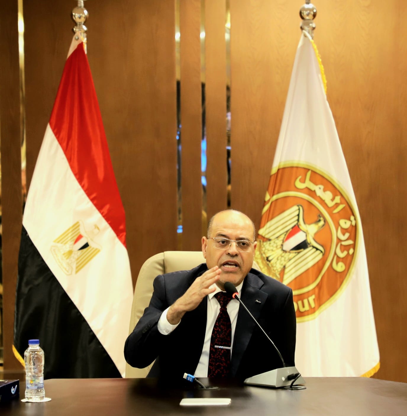وزير القوى العامله 